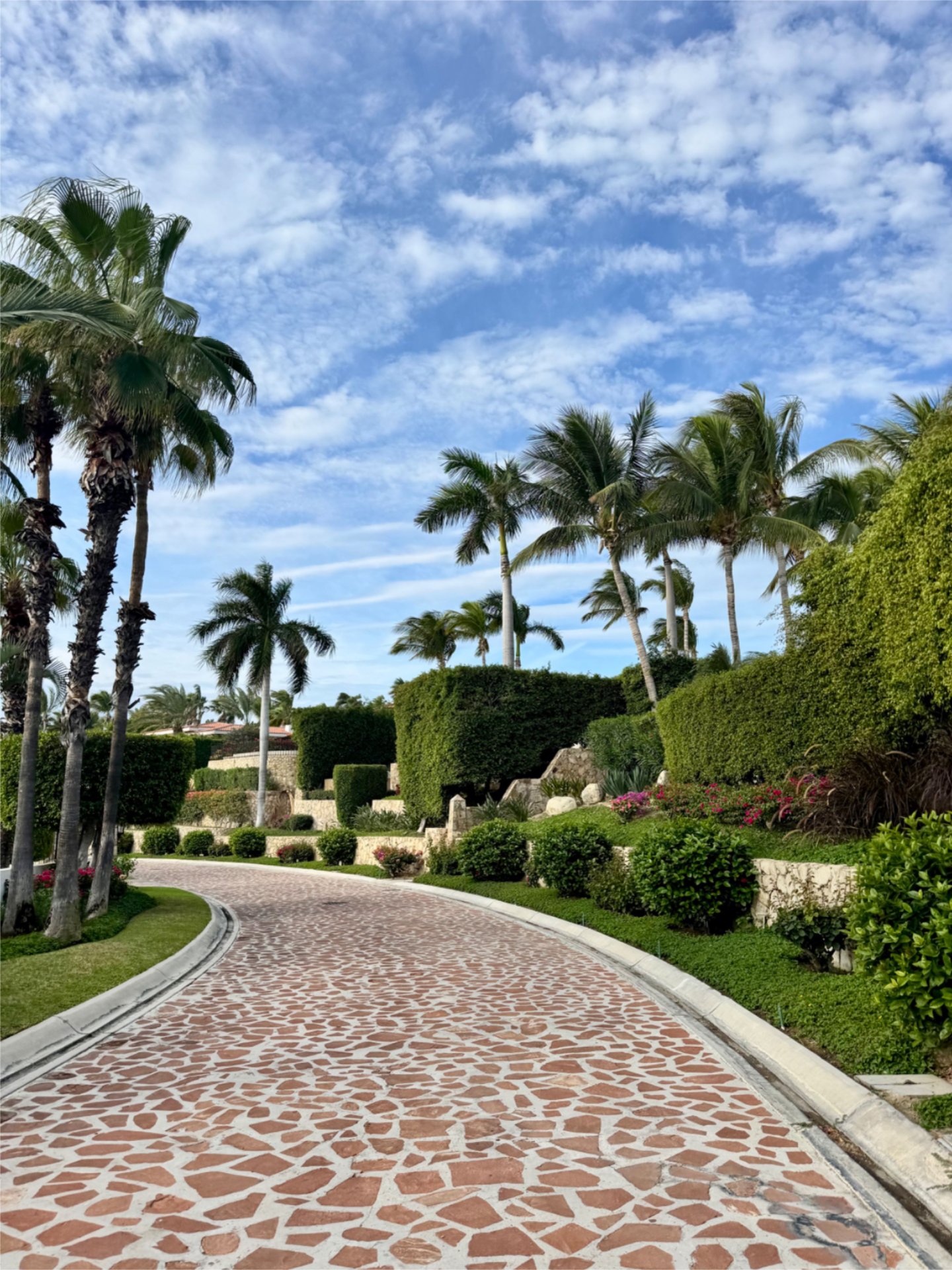 Curved Stone Driveway with Palm Trees and Manicured Hedges