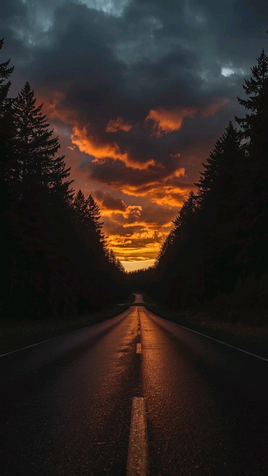Dramatic Forest Road at Sunset with Fiery Orange Clouds