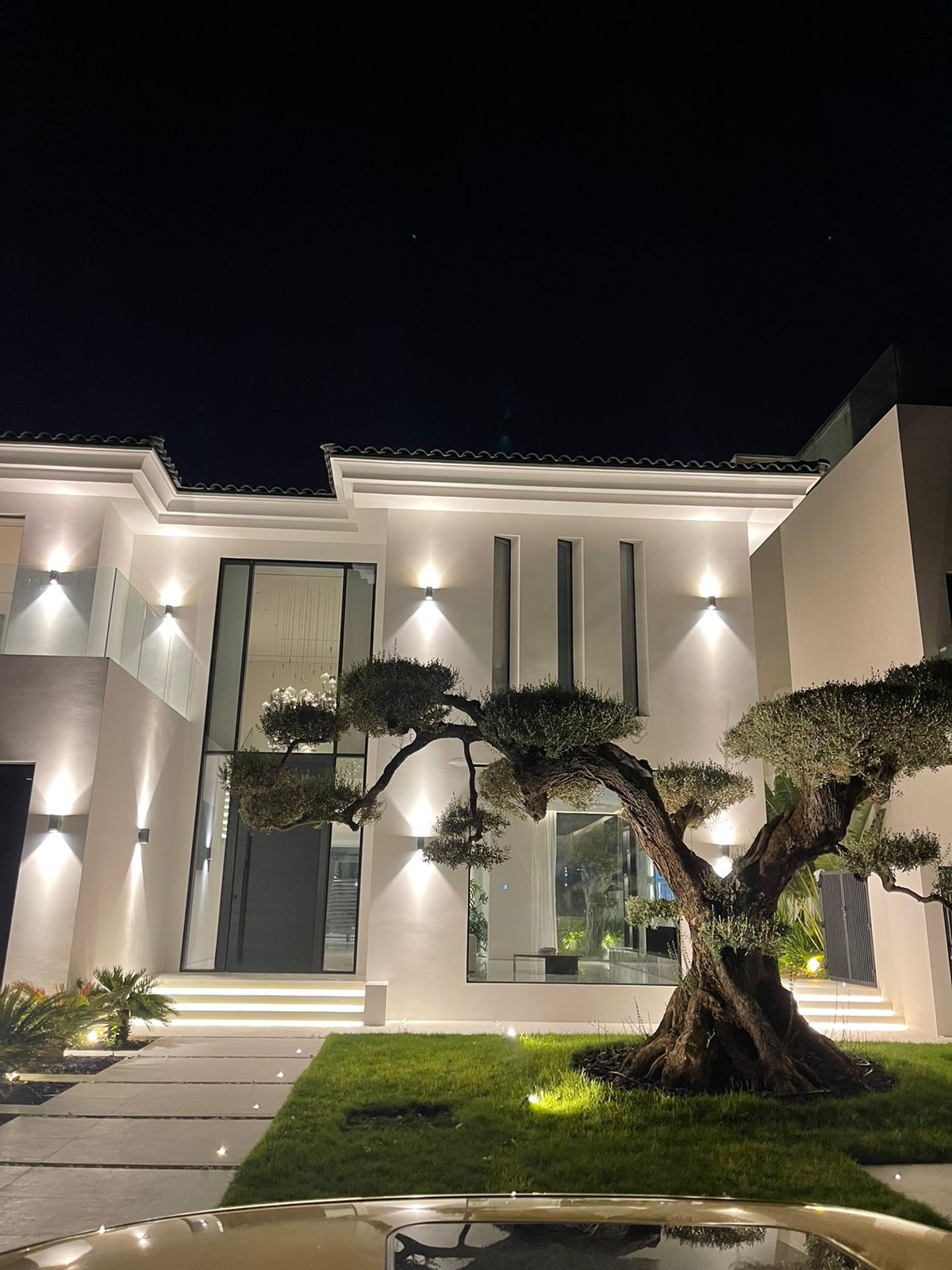 Modern Home Exterior with Dramatic Night Lighting and Sculptural Tree